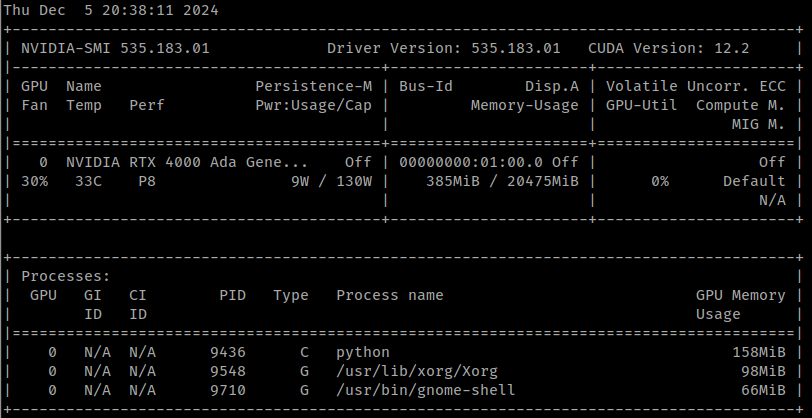nvidia-smi Output